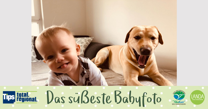 Das süßeste Babyfoto - Paul aus Braunau