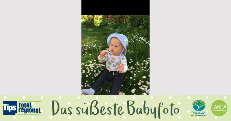 Das süßeste Babyfoto - Tobias Raphael aus Freistadt