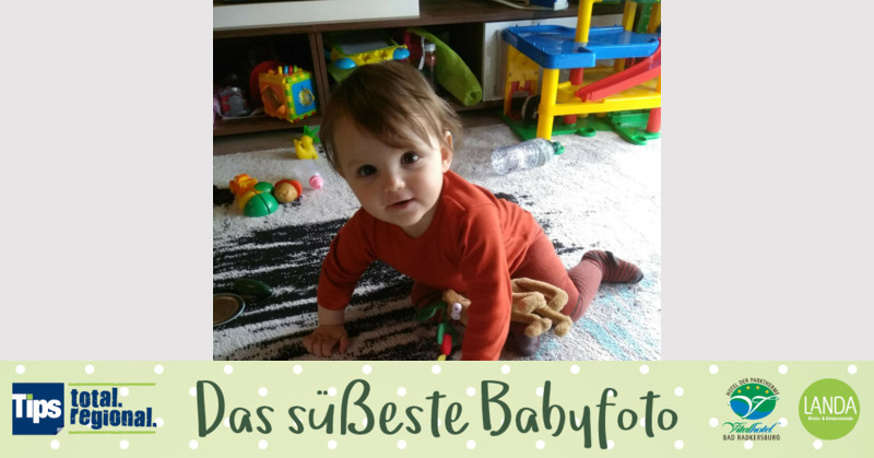 Das süßeste Babyfoto - Lion aus Gmunden