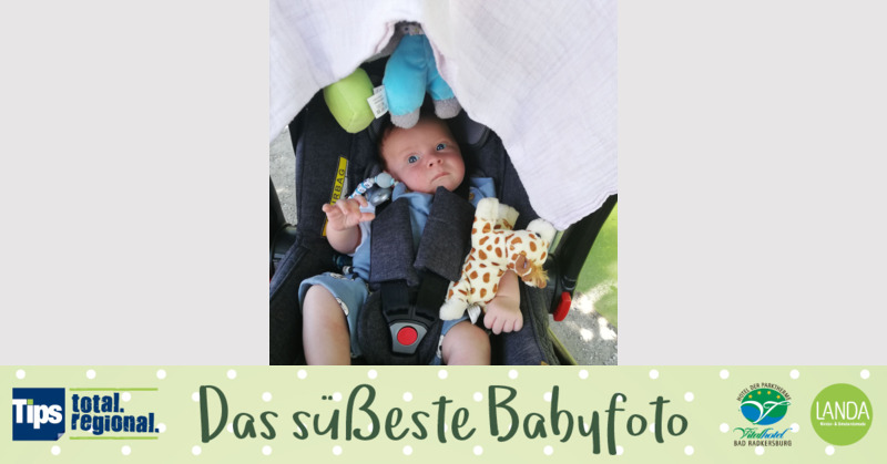 Das süßeste Babyfoto - Noah aus Vöcklabruck