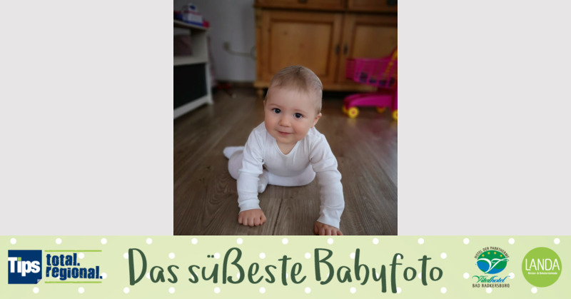 Das süßeste Babyfoto - Niklas aus Vöcklabruck