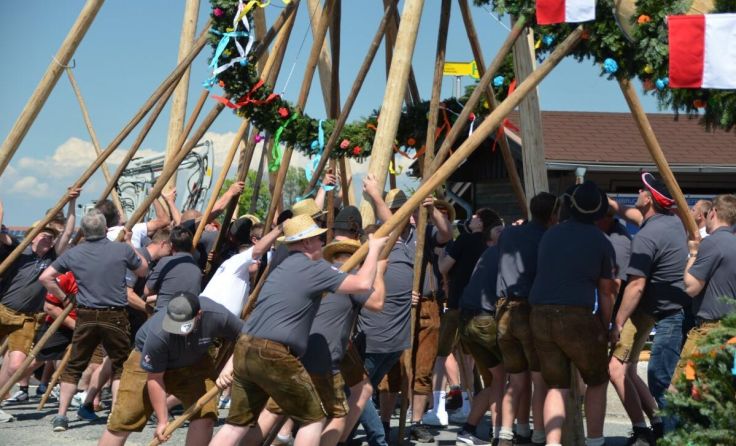 Viele halfen beim Aufstellen des Maibaums mit. (Foto: A. Berer)
