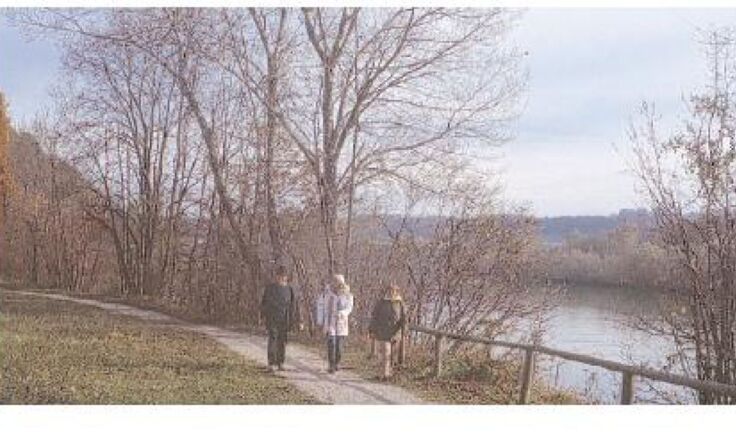 Romantischer Spazierweg an der Ennsleiten. Foto: Wasner