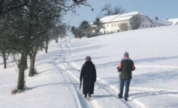 PUCHENAU  Winterwanderung in  der Gartenstadt