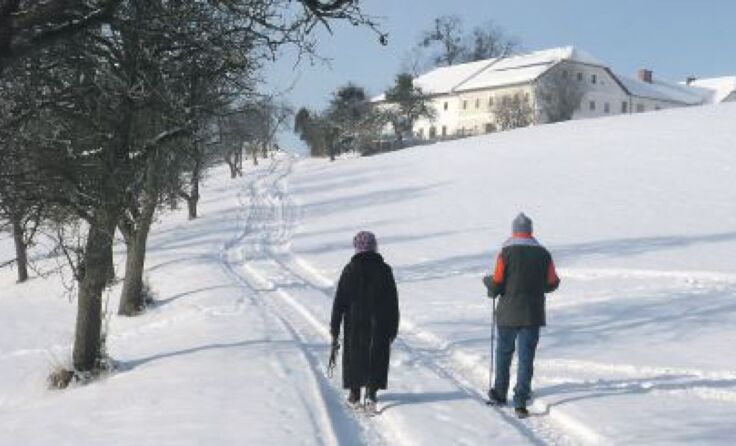Geschichtsträchtige Streuobstwiese zum Wögererhof