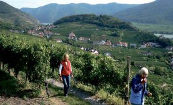 SPITZ AN DER DONAU Riedenwandern um den Tausendeimerberg