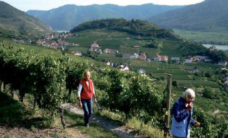Blick von den Setzbergrieden auf den Tausendeimerberg