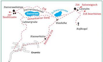 Alpenrosenzauber auf der Tauplitz