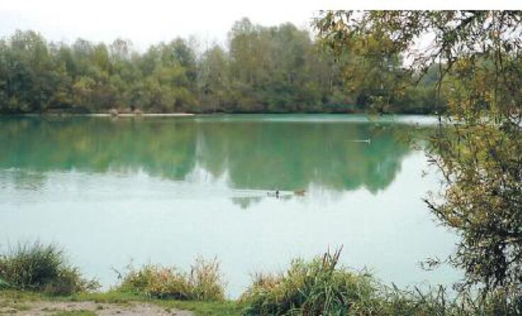 Beim Lettner-Teich