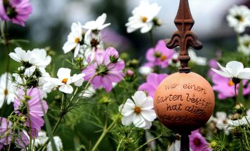 Gartenplanung: „Was will ich von meinem Garten – das muss ich wissen“