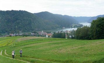 Donaurunden am Donausteig, Vichtenstein