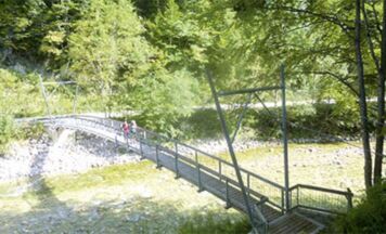 Wildnistrail Buchensteig