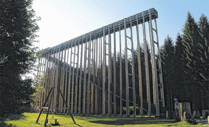 Die Himmelsleiter im Naturpark Hochmoor Schrems Foto: Schacherl