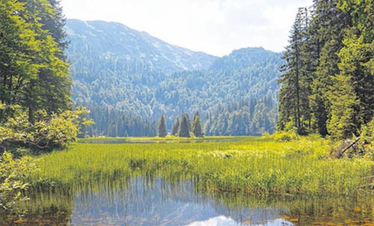 Der Obersee, ein traumhafter Platz Fotos: Schacherl
