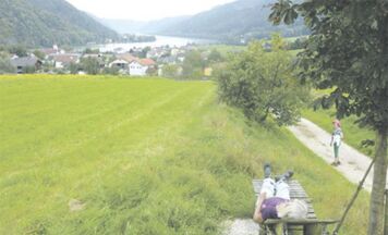 Donaurunden am Donausteig, Vichtenstein