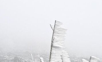 Im Mostviertler Nebel unterwegs, Waldviertel