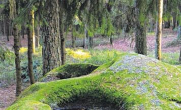 Granit, Wald und Geheimnisse. Waldviertel