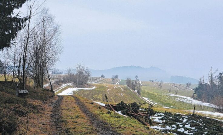 Typische Waldviertler Landschaft