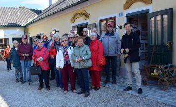 Historisches Ausflugsziel - Die Nadelburg in Lichtenwörth