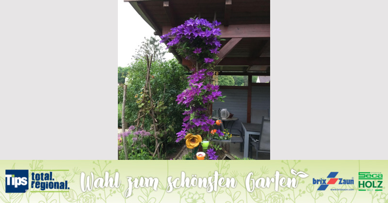 Schönster Garten 2019 - Andrea aus Amstetten