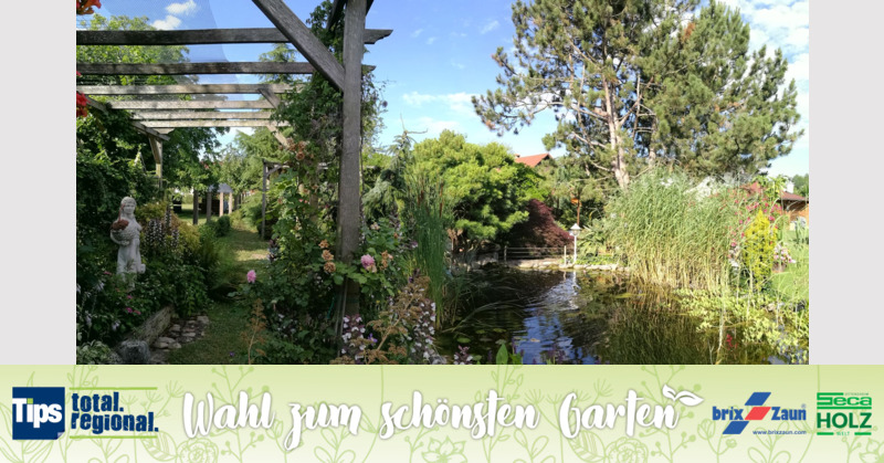Schönster Garten 2019 - Klaus aus Amstetten