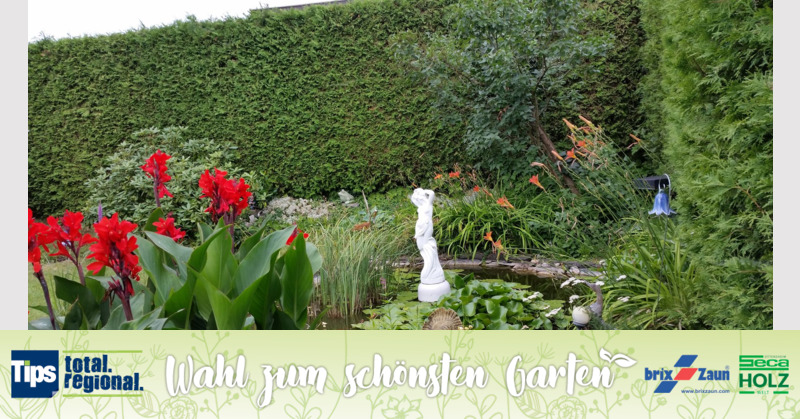 Schönster Garten 2019 - Michael aus Amstetten