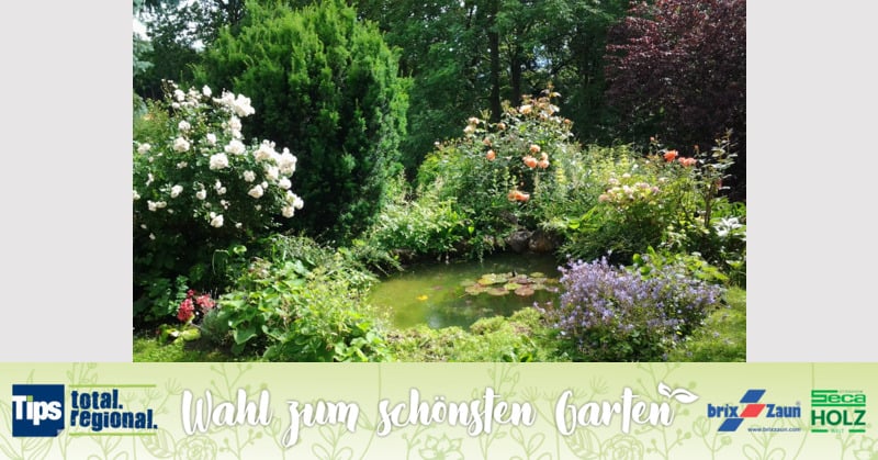 Schönster Garten 2019 - Josefine aus Amstetten