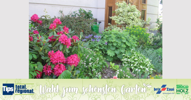 Schönster Garten 2019 - Katharina aus Amstetten