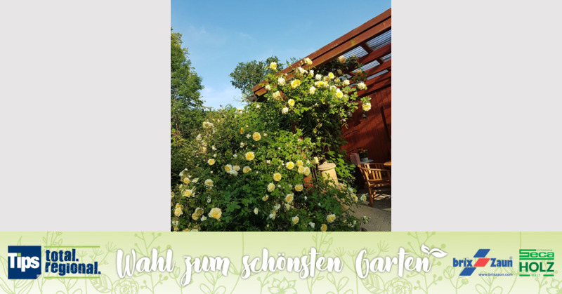 Schönster Garten 2019 - Sonja aus Braunau