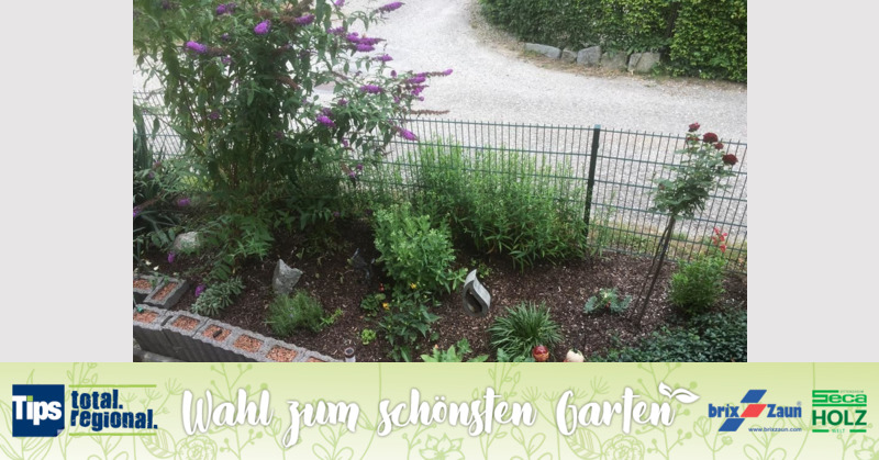 Schönster Garten 2019 - Margit aus Braunau