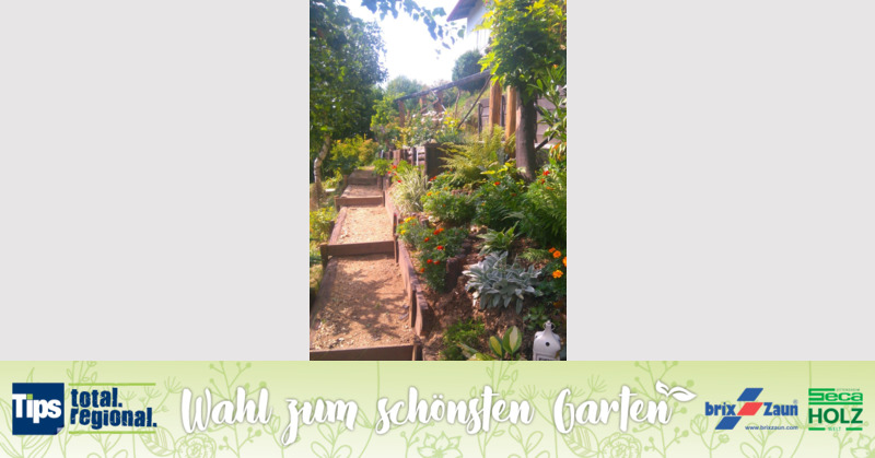 Schönster Garten 2019 - Dagmar  aus Freistadt