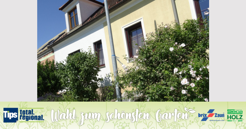 Schönster Garten 2019 - Sibylle aus Gmünd