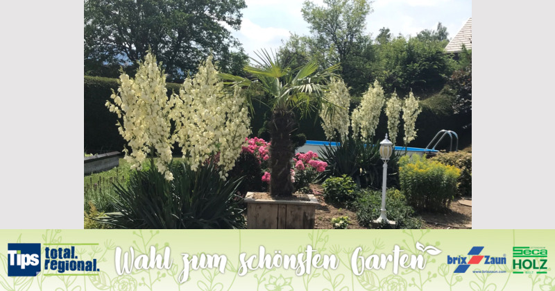 Schönster Garten 2019 - Hermine aus Gmunden