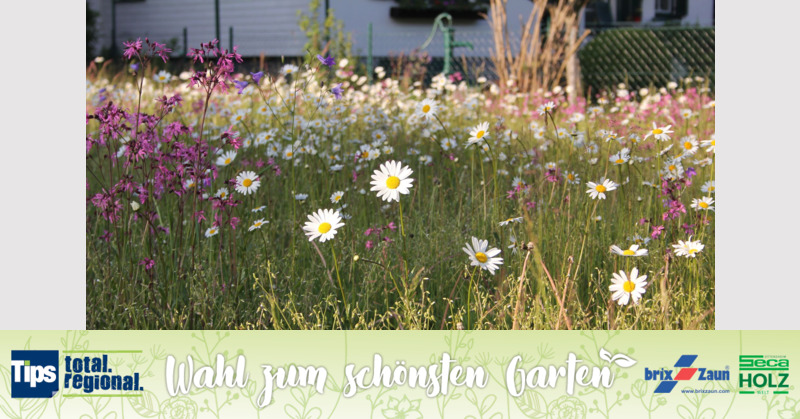 Schönster Garten 2019 - Wolfgang aus Gmunden