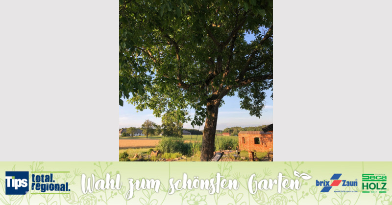 Schönster Garten 2019 - Silke aus Gmunden