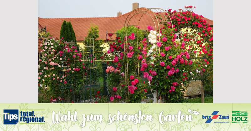 Schönster Garten 2019 - Anton aus Grieskirchen