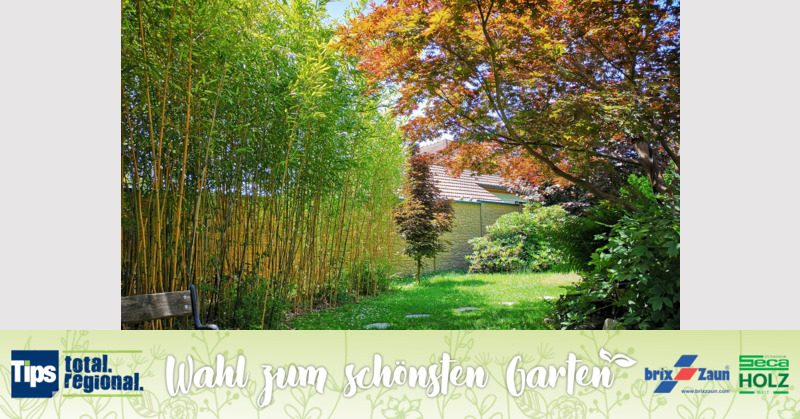 Schönster Garten 2019 - Iris aus Grieskirchen