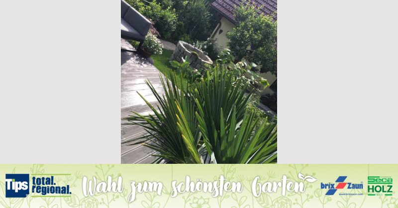 Schönster Garten 2019 - Thomas aus Grieskirchen