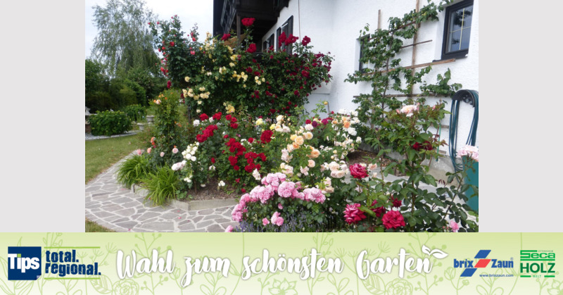 Schönster Garten 2019 - Inge aus Grieskirchen