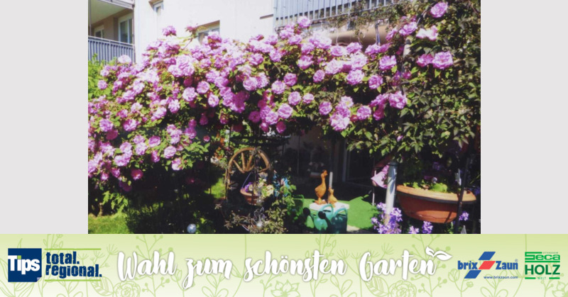 Schönster Garten 2019 - Josef aus Kirchdorf