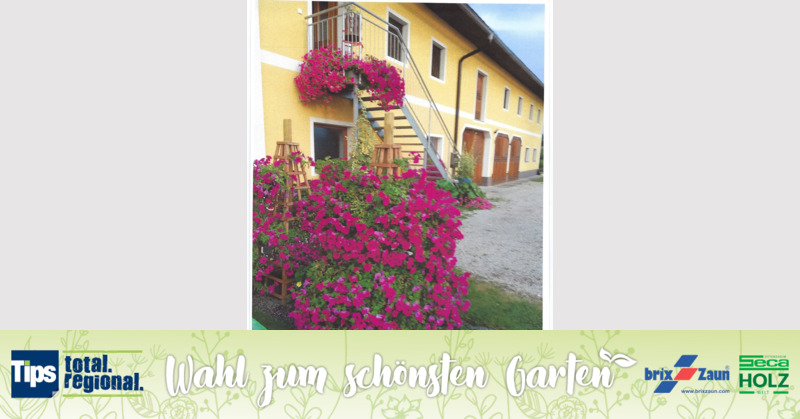 Schönster Garten 2019 - Gabriele aus Kirchdorf