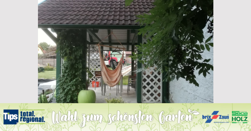 Schönster Garten 2019 - Martin aus Krems-Donau