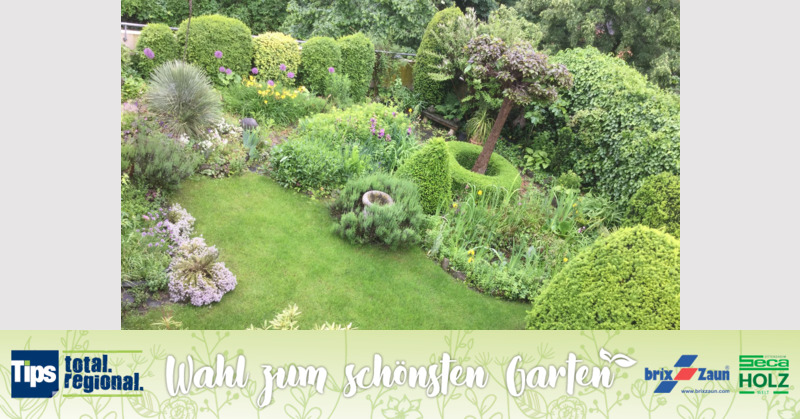 Schönster Garten 2019 - Helmut aus Krems-Donau