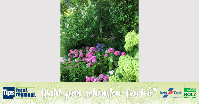 Schönster Garten 2019 - Petra aus Linz-Land