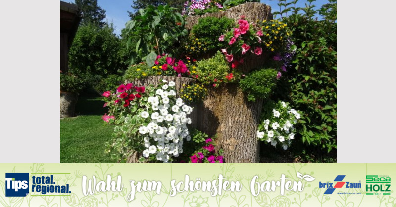 Schönster Garten 2019 - Markus aus Linz-Land
