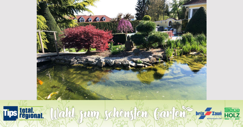 Schönster Garten 2019 - Peter aus Linz-Land
