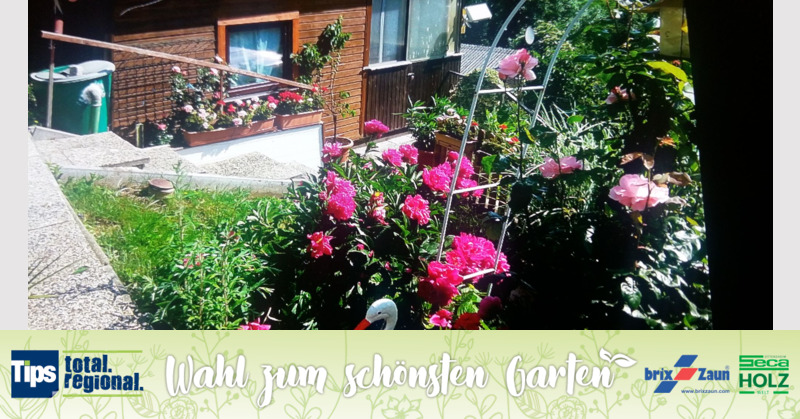 Schönster Garten 2019 - Brigitte aus Linz-Land