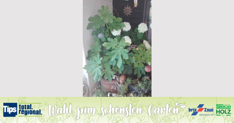 Schönster Garten 2019 - Elisabeth aus Linz-Land