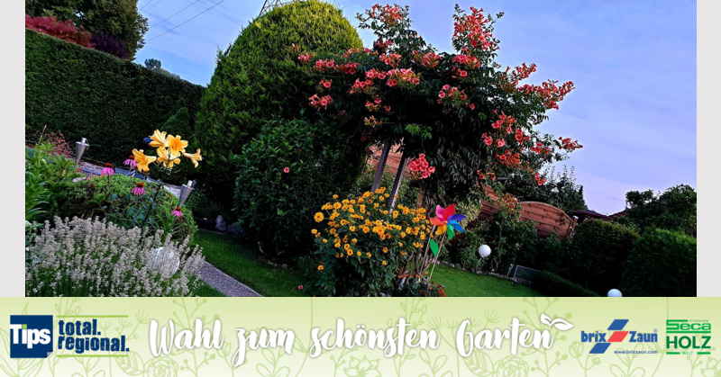 Schönster Garten 2019 - Robert aus Linz-Land