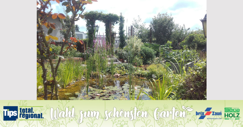 Schönster Garten 2019 - ingrid aus Linz-Land